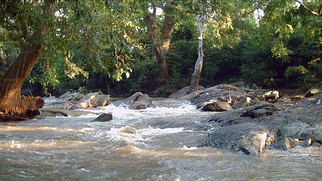 Kirindi River